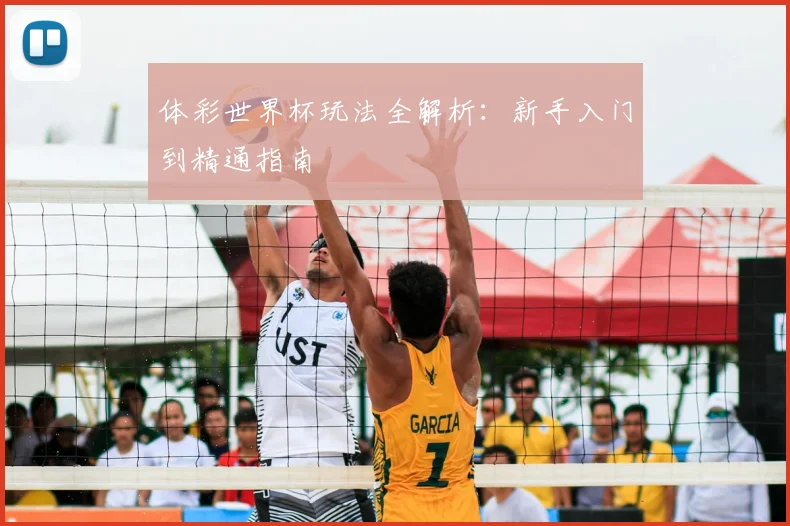 体彩世界杯玩法全解析：新手入门到精通指南