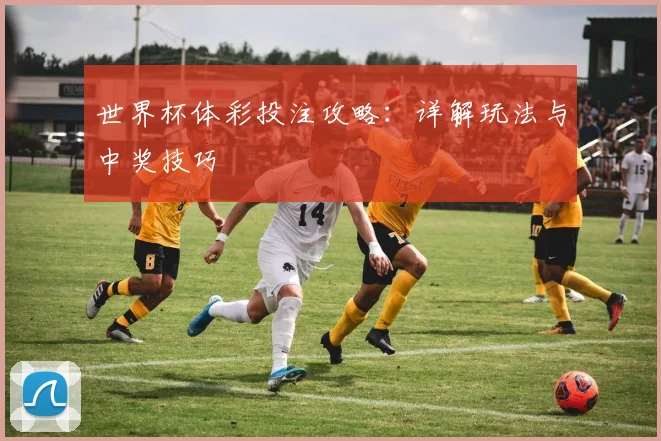 世界杯体彩投注攻略：详解玩法与中奖技巧