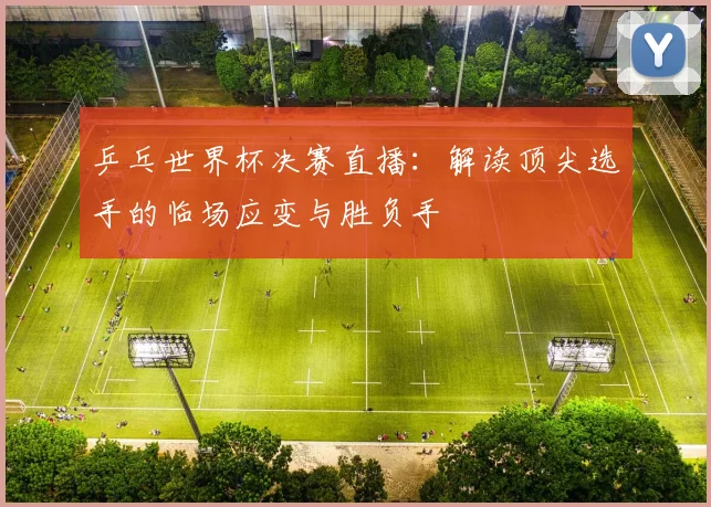 乒乓世界杯决赛直播：解读顶尖选手的临场应变与胜负手