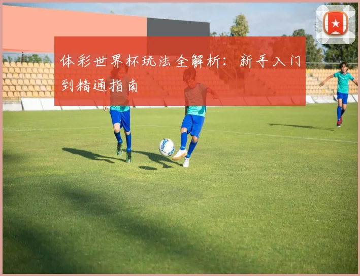 体彩世界杯玩法全解析：新手入门到精通指南